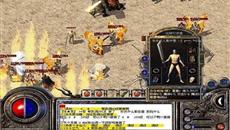 ��ְҵ����ɢ�������ο��������Լ��ļ�����